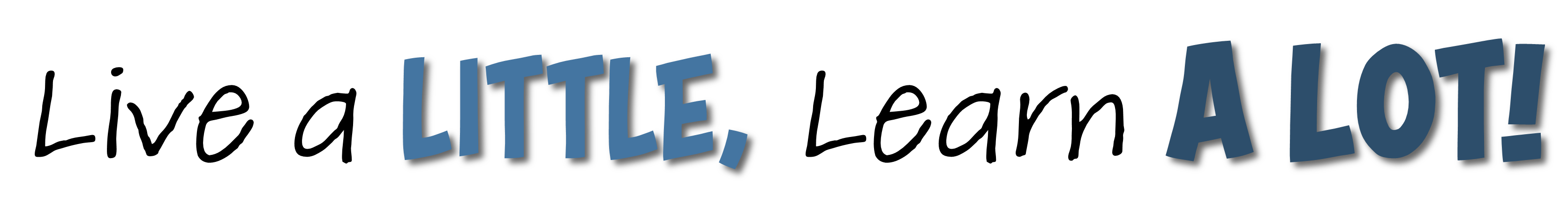 Live a Little, Learn A Lot with Enrichment Classes